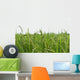 Green rice fields Wall Decal
