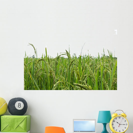 Green rice fields Wall Decal