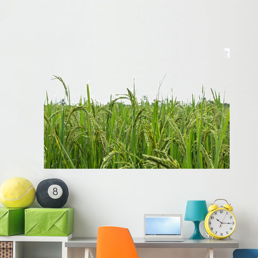 Green rice fields Wall Decal