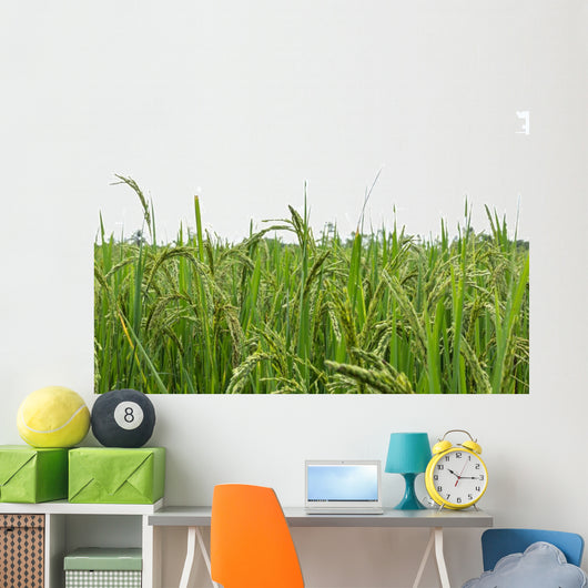 Green rice fields Wall Decal