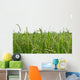 Green rice fields Wall Decal