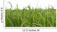 Green rice fields Wall Decal