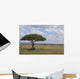 Elephant's in the serengeti Wall Decal