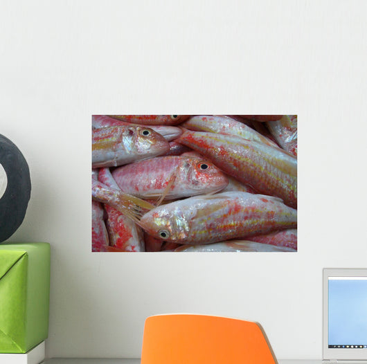 Pink Fish Wall Decal