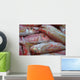 Pink Fish Wall Decal