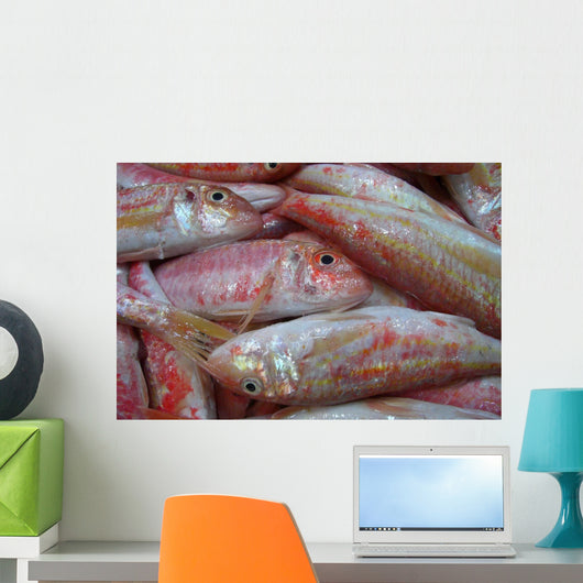 Pink Fish Wall Decal