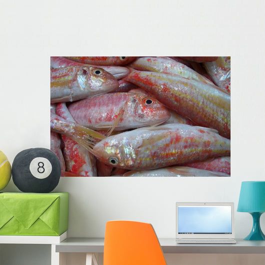 Pink Fish Wall Decal
