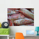 Pink Fish Wall Decal
