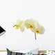Cream Orchid Flower White Wall Decal