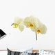 Cream Orchid Flower White Wall Decal