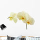 Cream Orchid Flower White Wall Decal