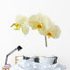 Cream Orchid Flower White Wall Decal