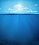 tropical underwater scene Wall Decal