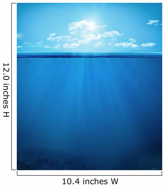 tropical underwater scene Wall Decal