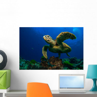 Hawksbill Sea Turtle Wall Decal 2 shown on a wall