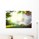 Yoga in the park Wall Decal