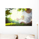 Yoga in the park Wall Decal