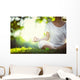Yoga in the park Wall Decal