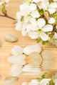 Spa Theme Wall Decal