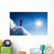 Mountaineer celebrates the conquest of the summit. Wall Decal