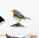 Robin Wall Decal