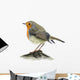 Robin Wall Decal