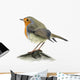 Robin Wall Decal