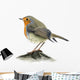 Robin Wall Decal
