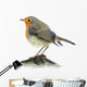 Robin Wall Decal