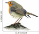 Robin Wall Decal