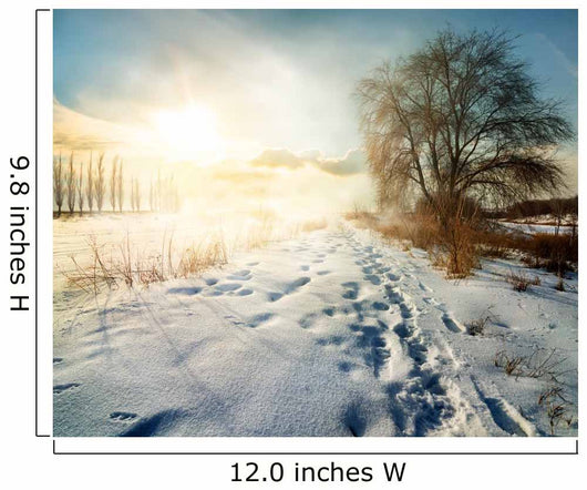 Winter in countryside Wall Decal
