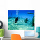 Underwater Photographer shooting a sunken Shipwreck Wall Decal
