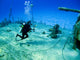 Underwater Photographer shooting a sunken Shipwreck Wall Decal