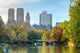 Central Park Fall Wall Decal