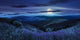 wild flowers on the mountain top at night Wall Decal