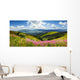 wild flowers on the mountain top Wall Decal