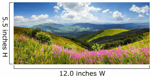 wild flowers on the mountain top Wall Decal