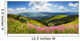 wild flowers on the mountain top Wall Decal