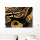 Ball Python Wall Decal
