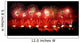 Fireworks on Australian day in Perth 2015 Wall Decal