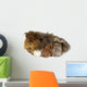 Mother guinea pig and three babies Wall Decal