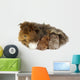 Mother guinea pig and three babies Wall Decal