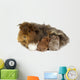 Mother guinea pig and three babies Wall Decal