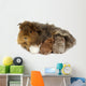Mother guinea pig and three babies Wall Decal