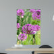 Alliums Flower Wall Decal