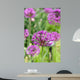 Alliums Flower Wall Decal