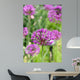 Alliums Flower Wall Decal