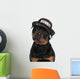 Rottweiler security Wall Decal