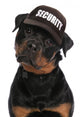 Rottweiler security Wall Decal
