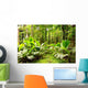 Tropical rain forest in Mahe Island, Seychelles Wall Decal
